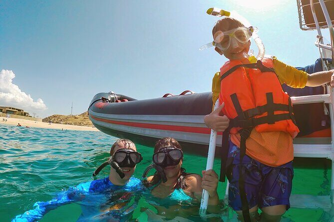 Whale Watching & Snorkeling Combo in Los Cabos with Photos Included - An In-Depth Look at the Whale Watching & Snorkeling Experience