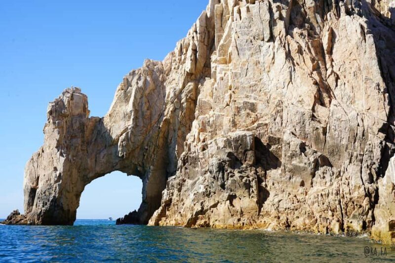 Whale watching, snorkeling, lunch, and drinks in Cabo San Lucas - Exploring the Cabo San Lucas Experience