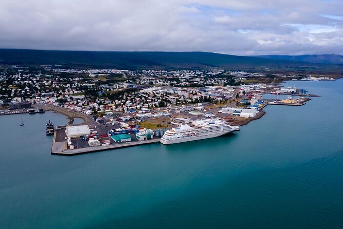 Whale Watching Tour from Akureyri City Central - An In-Depth Look at the Whale-Watching Experience