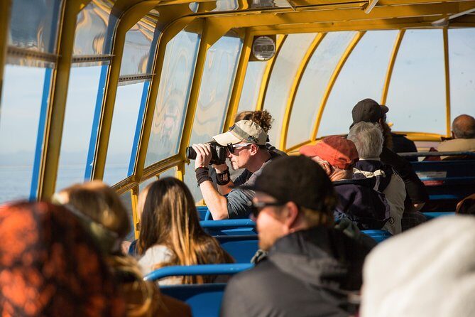Whale-Watching Tour from Vancouver - FAQs