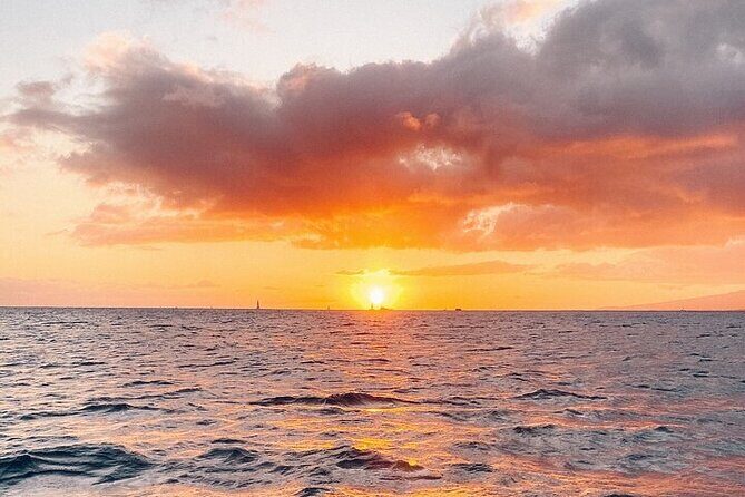 Whale Watching Tour in Waikiki Intimate Adventure on Oahu - FAQ