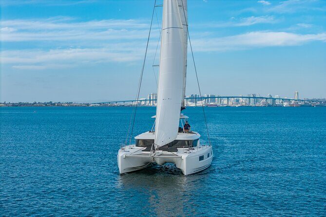 Whale Watching Tour on a Catamaran in San Diego - Why This Tour Stands Out