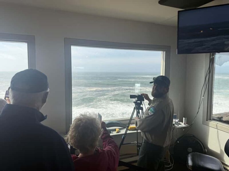 Whale Watching Tour to Depoe Bay, Cannon Beach & Tillamook - FAQ