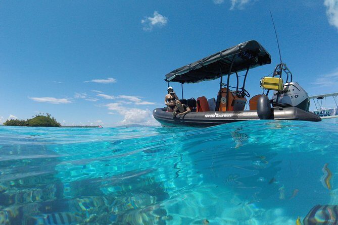 Whale Watching Tours in Bora Bora - The Sum Up