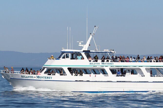 Whale Watching Winter - Who Will Love This Tour?