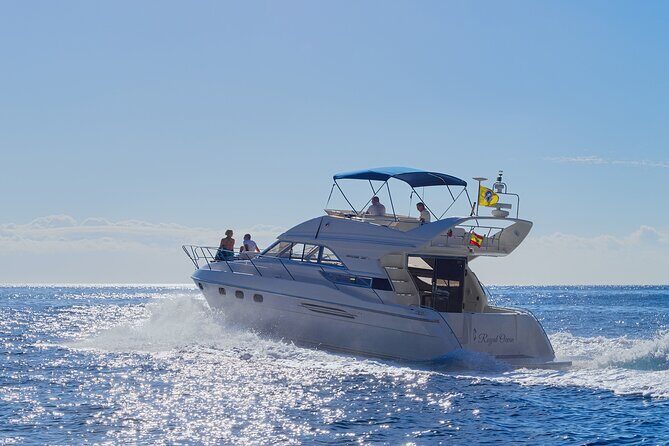 Whales and Dolphins excursion on a Luxury Yacht in Canary Islands - Tenerife Whales and Dolphins Excursion on a Luxury Yacht: A Detailed Review