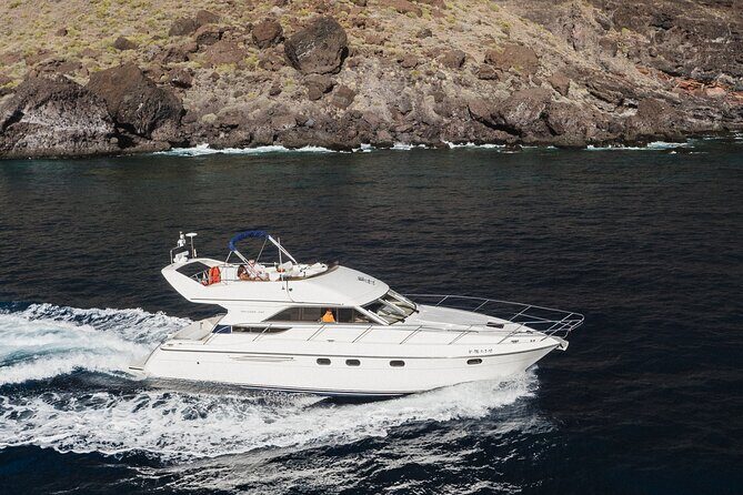Whales and Dolphins excursion on a Luxury Yacht in Canary Islands - An In-Depth Look at the Tenerife Marine Safari