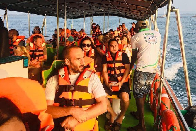 Whales and Dolphins Watching-Luxury Super Grade Cruiser(Hotel Pick up offered) - Price and Value for Money