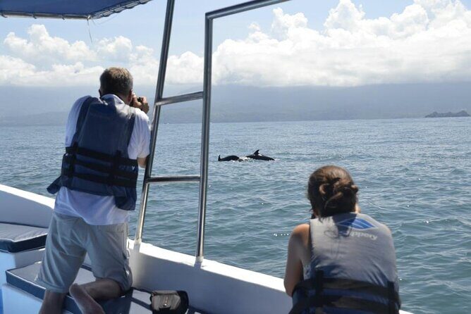 Whales and Dolphins watching Tour From Uvita - Authentic Marine Encounters: What Travelers Say