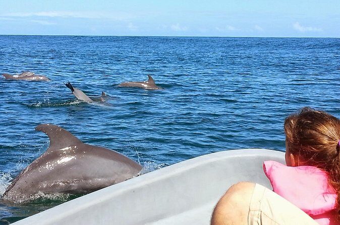 Whales and Dolphins watching Tour From Uvita - FAQs