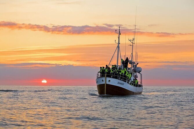 Whales and Puffins Tour from Husavik - A Deep Dive into the Husavík Whales and Puffins Tour