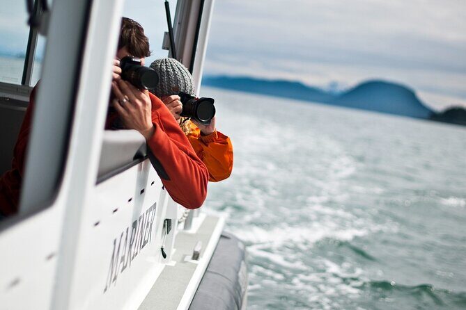 Whales and Wilderness Exploration - Exploring Whales and Wilderness in Juneau: A Detailed Review