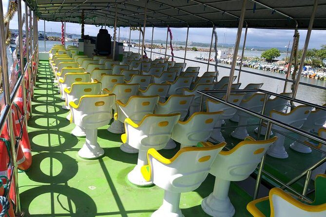 Whales & Dolphin Watching Day Tour including Handunugoda Teafactory - The Sum Up