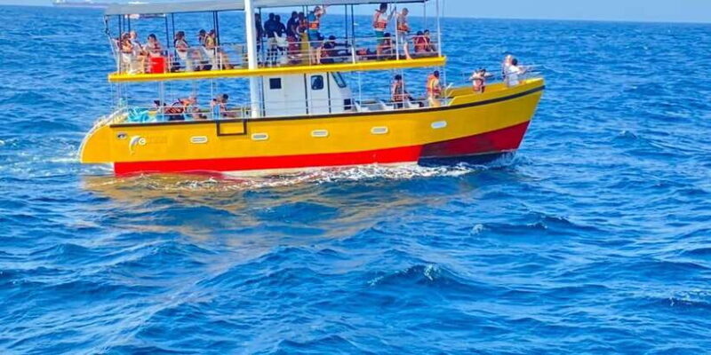 Whales & Dolphin Watching with The Pioneers - Final Thoughts