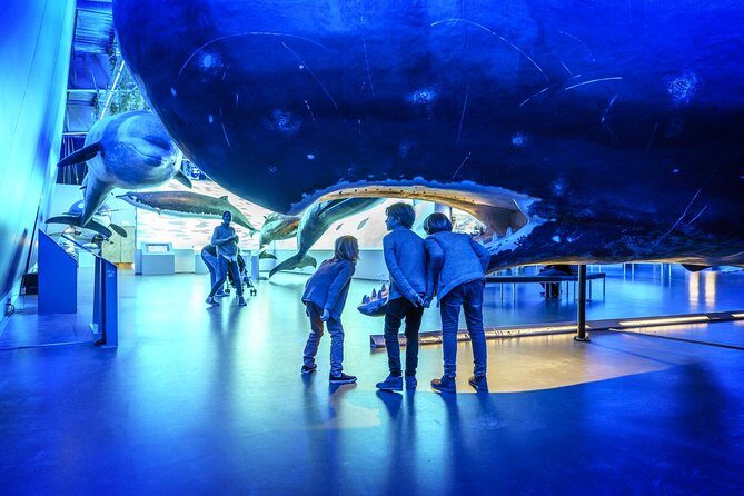 Whales Of Iceland Admission Ticket - A Deep Dive Into the Whales of Iceland Experience