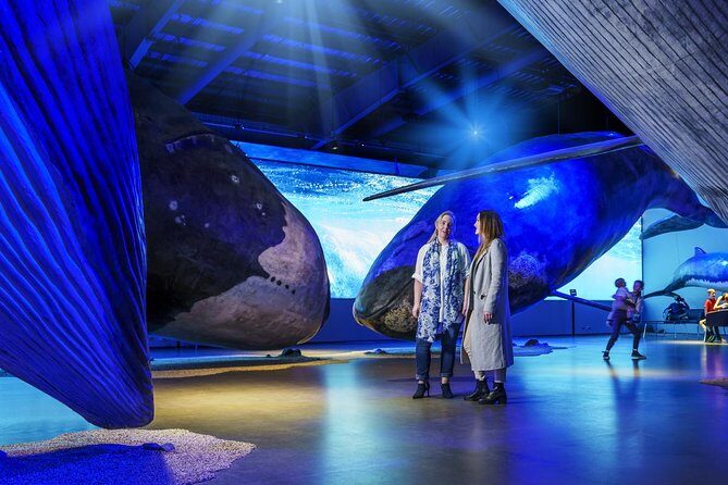 Whales of Iceland from Land and Sea - Who Should Consider This Tour?