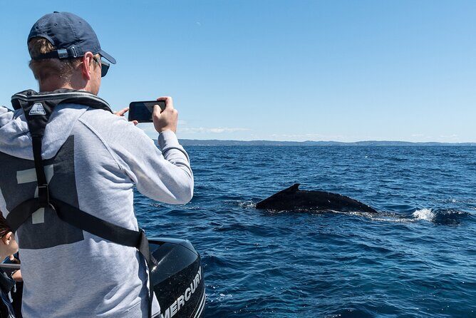 Whales of Sydney Sea Safari - Who Should Consider This Tour?