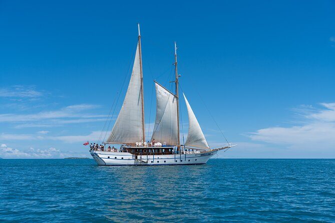 Whale's Tale Day Cruise from Port Denarau - The Pros and Cons of the Whale’s Tale Day Cruise