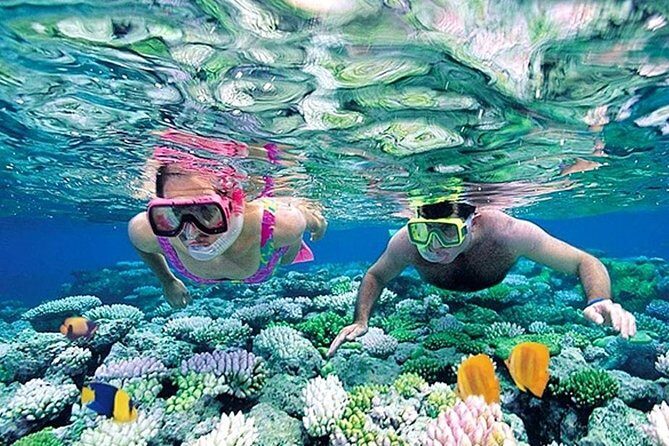 Whales Watching Mirissa Day Tour - In-Depth Review: What You Can Expect from This Tour