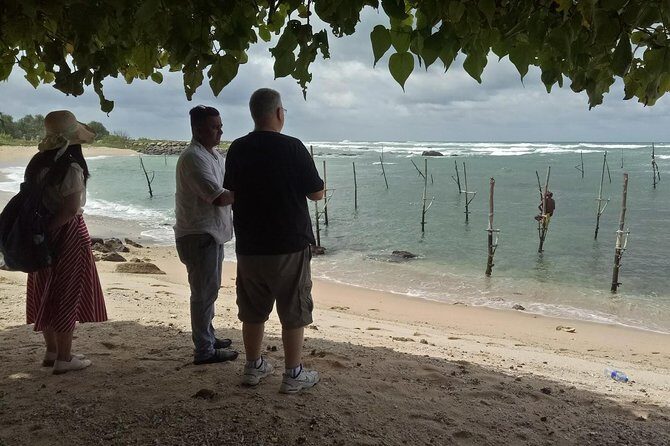 Whales Watching Mirissa Day Tour - The Sum Up