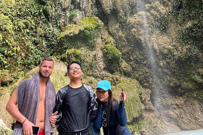 Whaleshark & Sumilon Is and Moalboal Sardines & Turtle Tour - What to Expect at Each Stop