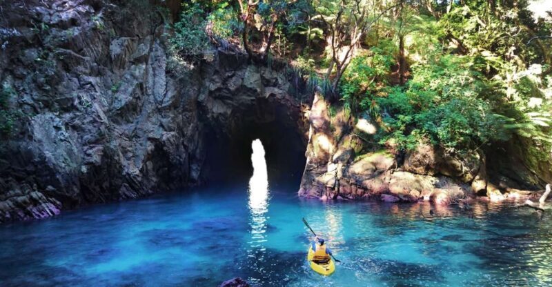 Whangamata: Donut Island Guided Kayaking Experience - A Close Look at the Donut Island Kayaking Tour