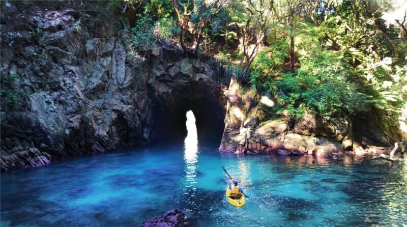 Whangamata: Donut Island Guided Kayaking Experience - How the Tour Fits into Your New Zealand Adventure