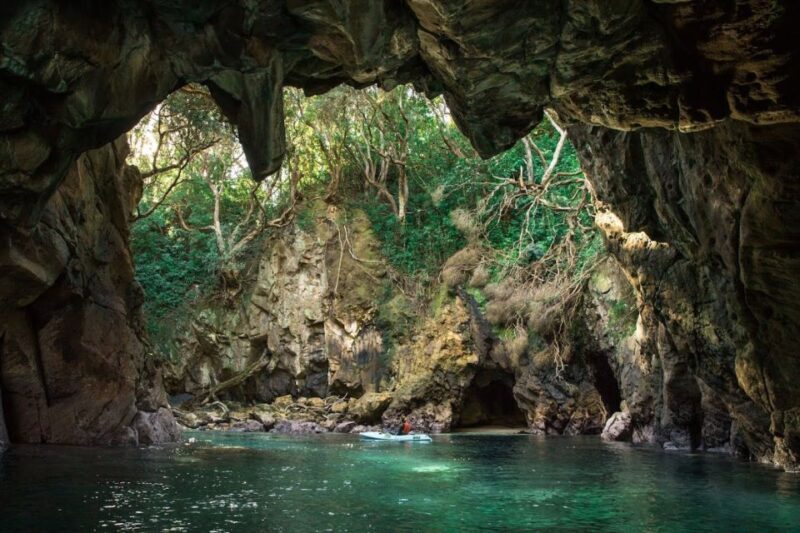 Whangamata: Donut Island Guided Kayaking Experience - FAQ