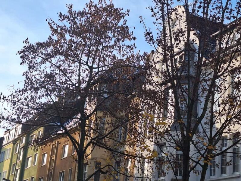What has made Dortmund rich to this day: Bike tour incl. drink - Key Points