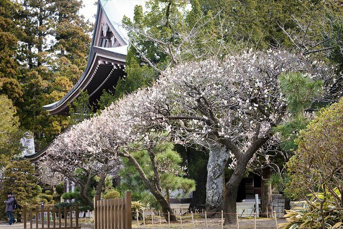 When Emperors Reigned and Shoguns Ruled - Final Thoughts: Is It Worth It?