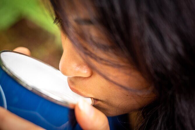 Whirinaki Forest Footsteps: Mori Guided Tour, Picnic & Transfer - Key Points