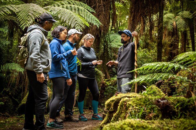 Whirinaki Forest Footsteps: Mori Guided Tour, Picnic & Transfer - Practical Details and Tips