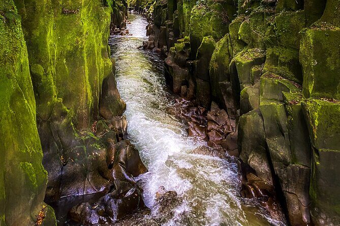 Whirinaki Forest Footsteps: Mori Guided Tour, Picnic & Transfer - FAQs