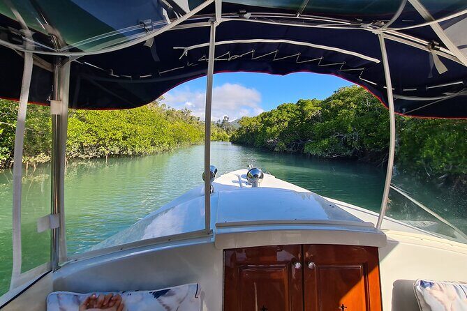 Whisper Cruises - One-Hour Turtle Spotting Bay Cruise - Who Should Consider This Tour?