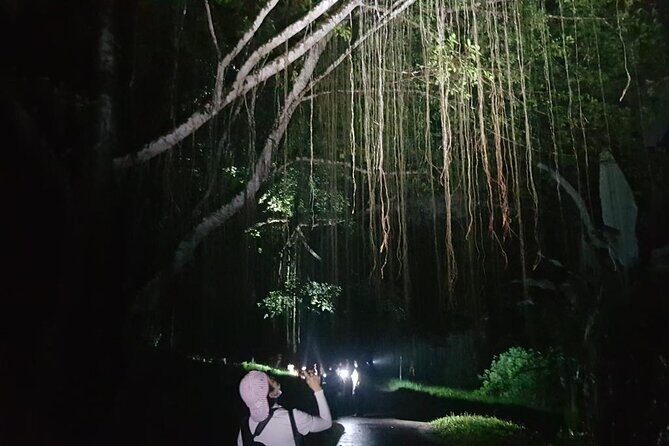 Whispers of the Cemetery Nature Walk - The Value of Your Experience