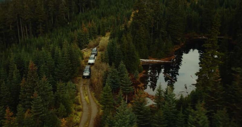 Whistler: Afternoon/Evening Bear Viewing Scenic Tour - Exploring the Experience: What to Expect