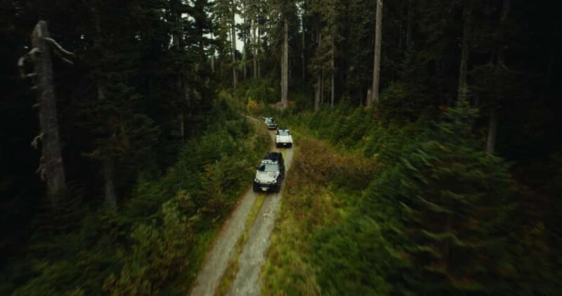 Whistler: Afternoon/Evening Bear Viewing Scenic Tour - Practicalities and Tips