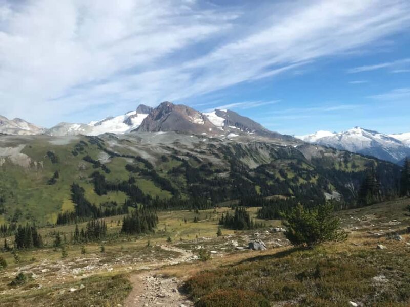 Whistler: Alpine Hiking Tour with Gondola Ride - In-Depth Review of the Whistler Alpine Hiking Tour