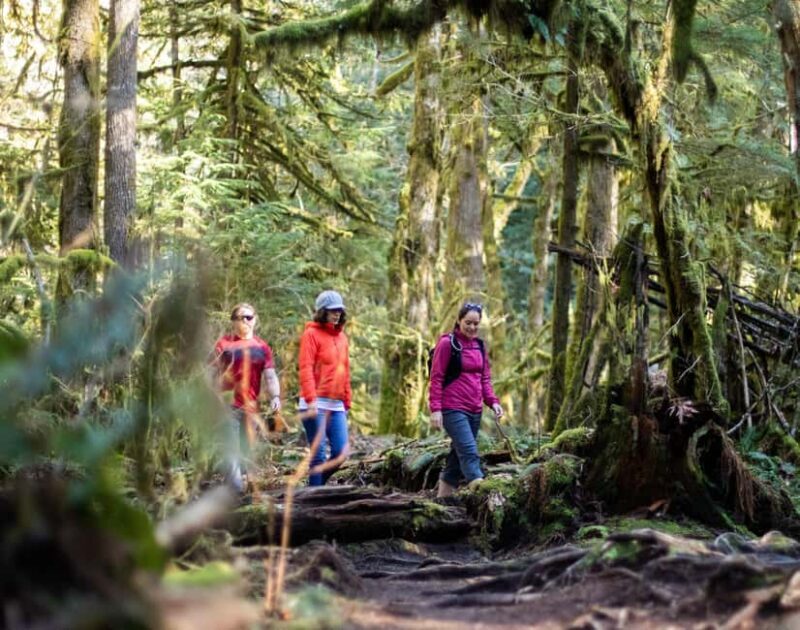 Whistler: Cheakamus Lake Guided Hike in Garibaldi Park - The Sum Up
