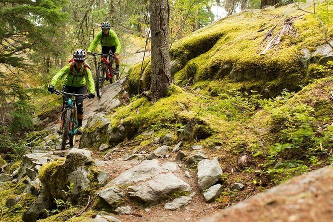 Whistler Full-Day Mountain Bike Tour - Experience Whistler’s Wilderness on Two Wheels