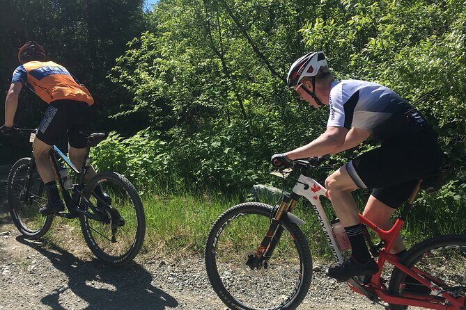 Whistler Full-Day Mountain Bike Tour - Key Points