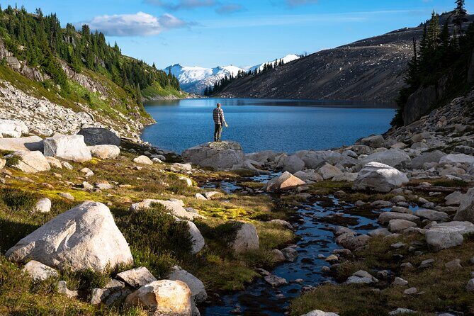 Whistler Guided Day Hiking - A Deep Dive into the Whistler Guided Day Hike Experience