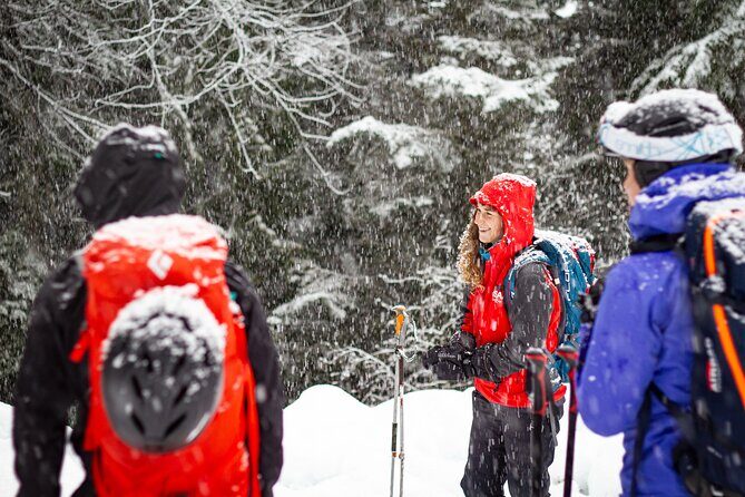 Whistler Intro to Backcountry Skiing and Splitboarding - Exploring Whistler’s Backcountry: A Detailed Review