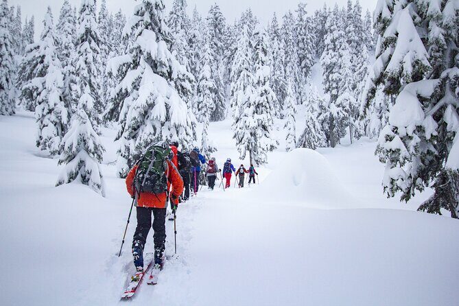 Whistler Intro to Backcountry Skiing and Splitboarding - FAQ