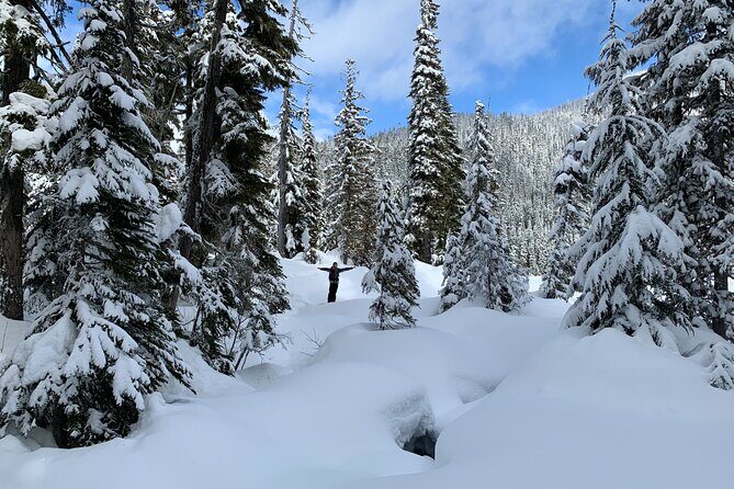 Whistler Lost Lake Snowshoeing and Village Tour - Analyzing the Value