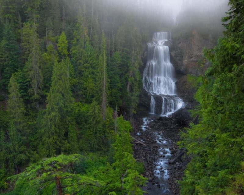 Whistler: Morning with the Bears Land Rover Scenic Excursion - Key Points