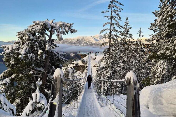 Whistler Sea 2 Sky Gondola, Shannon Falls Small Group Max 12 Tour - Frequently Asked Questions