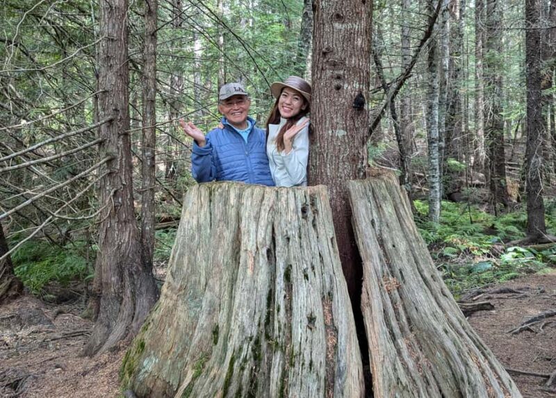 Whistler: Tour, Immersive Nature Experience - Key Points