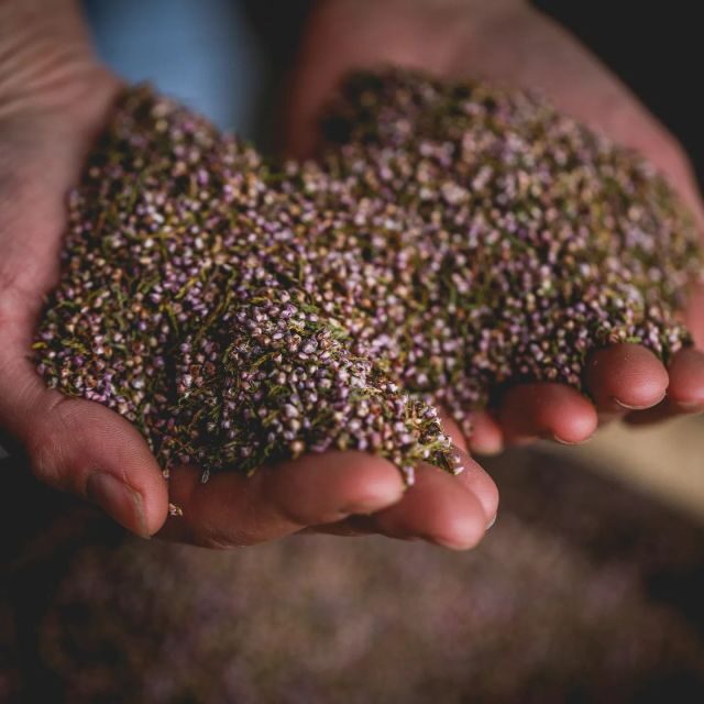 Whitby: Guided Distillery Tour with Gin Tasting - The Sum Up