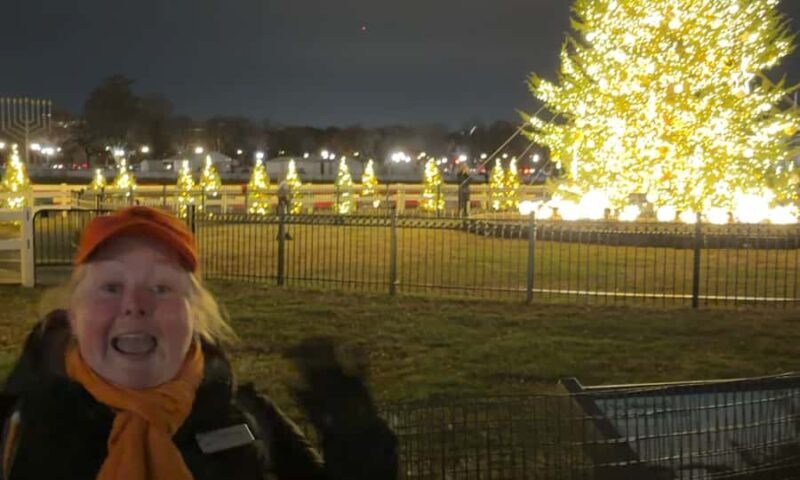 White House National Christmas Tree & Holiday Light Bus Tour - Authentic Insights from Reviews